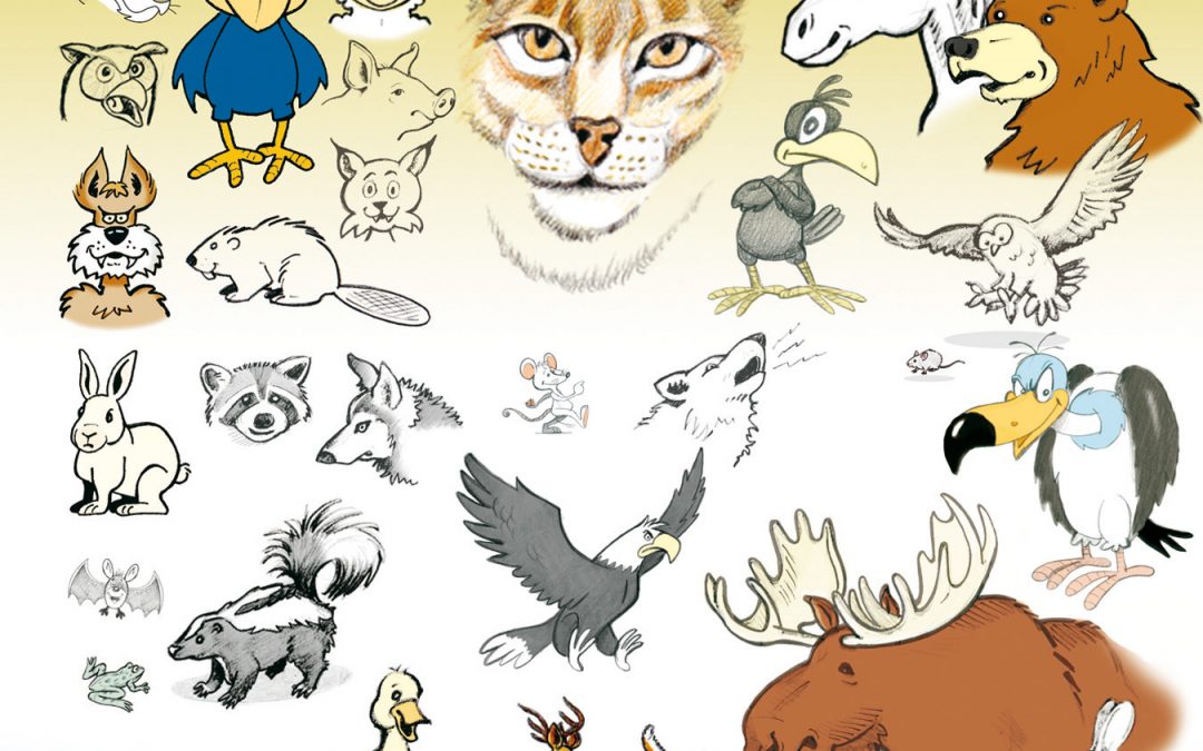 Un nouvel album de dessins; les animaux de la ferme et de la forêt.